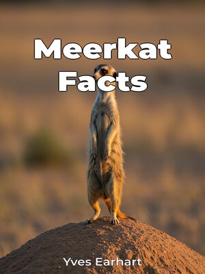 cover image of Meerkat Facts